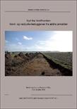 Arkæologiske Skrifter 10. Nyt fra Vestfronten 